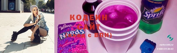 стаф Бородино