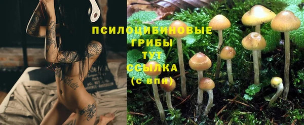 молекула духа Бугульма