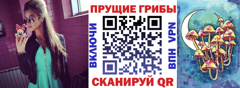 наркотики  kraken ONION  Псилоцибиновые грибы Cubensis  Кемь 